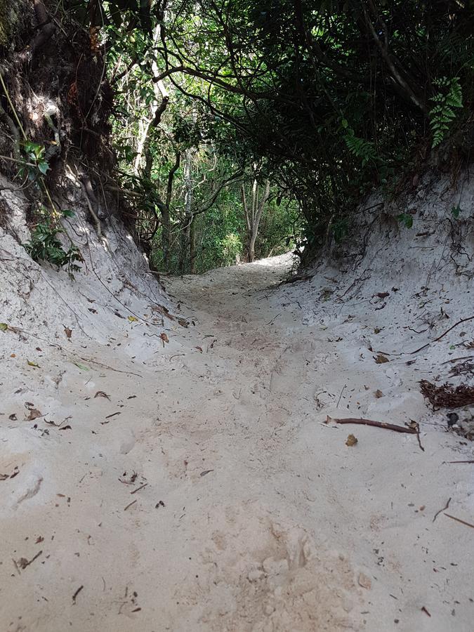 Pico Da Cruz Hostelフロリアノポリス エクステリア 写真
